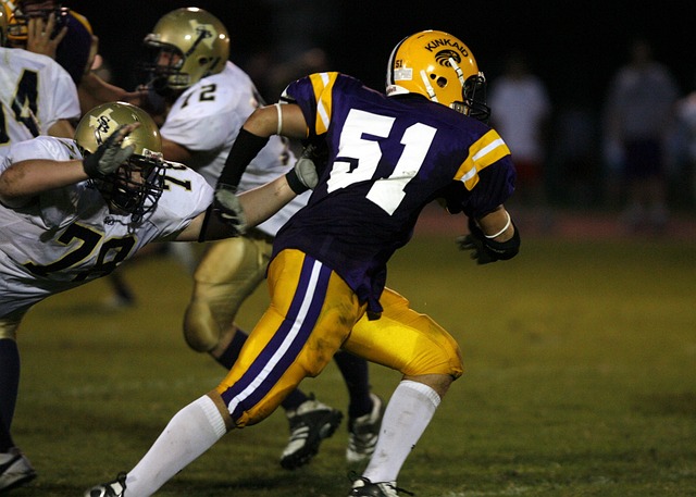 无疑为未来 无疑为未来