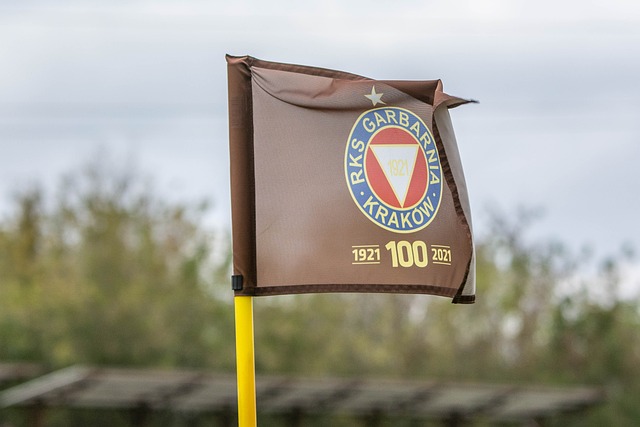 尤其是在备 尤其是在备