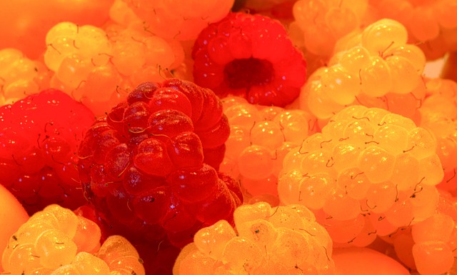 了挑剔的西 了挑剔的西